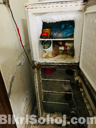 fridge singer